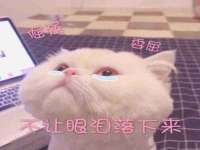 哈尔滨市道外区簇佳网络工作室