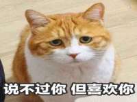 哈尔滨市道外区簇佳网络工作室