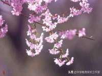 哈尔滨市道外区簇佳网络工作室