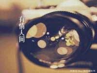 哈尔滨市道外区簇佳网络工作室