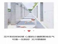 哈尔滨市道外区簇佳网络工作室