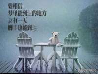 哈尔滨市道外区簇佳网络工作室