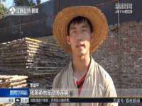 哈尔滨市道外区簇佳网络工作室