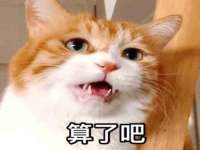 哈尔滨市道外区簇佳网络工作室