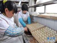 哈尔滨市道外区簇佳网络工作室