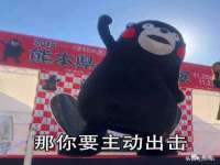 哈尔滨市道外区簇佳网络工作室