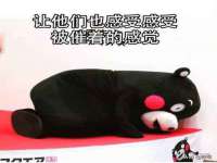 哈尔滨市道外区簇佳网络工作室