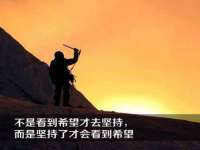 哈尔滨市道外区簇佳网络工作室