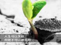 哈尔滨市道外区簇佳网络工作室