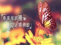 哈尔滨市道外区簇佳网络工作室