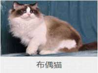哈尔滨市道外区簇佳网络工作室