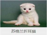 哈尔滨市道外区簇佳网络工作室