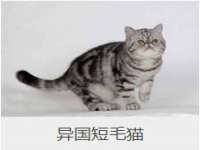 哈尔滨市道外区簇佳网络工作室