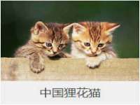哈尔滨市道外区簇佳网络工作室