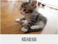 哈尔滨市道外区簇佳网络工作室