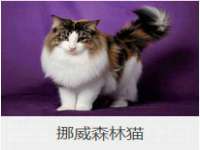 哈尔滨市道外区簇佳网络工作室