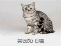 哈尔滨市道外区簇佳网络工作室