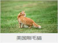 哈尔滨市道外区簇佳网络工作室