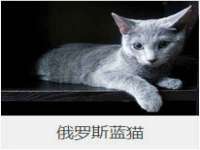哈尔滨市道外区簇佳网络工作室