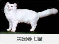 哈尔滨市道外区簇佳网络工作室