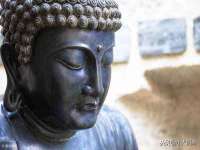 哈尔滨市道外区簇佳网络工作室