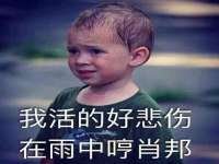 哈尔滨市道外区簇佳网络工作室