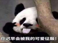哈尔滨市道外区簇佳网络工作室