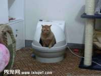哈尔滨市道外区簇佳网络工作室