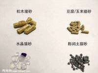 哈尔滨市道外区簇佳网络工作室