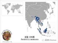 哈尔滨市道外区簇佳网络工作室