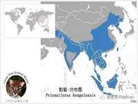 哈尔滨市道外区簇佳网络工作室