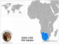 哈尔滨市道外区簇佳网络工作室