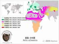 哈尔滨市道外区簇佳网络工作室