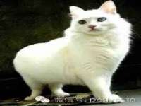 哈尔滨市道外区簇佳网络工作室