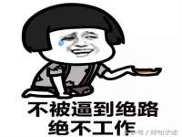 哈尔滨市道外区簇佳网络工作室
