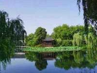 哈尔滨市道外区簇佳网络工作室