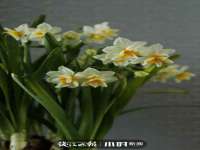 哈尔滨市道外区簇佳网络工作室