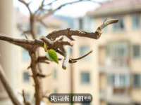 哈尔滨市道外区簇佳网络工作室