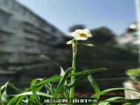 哈尔滨市道外区簇佳网络工作室