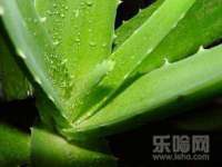 哈尔滨市道外区簇佳网络工作室