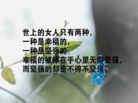 哈尔滨市道外区簇佳网络工作室