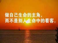 哈尔滨市道外区簇佳网络工作室