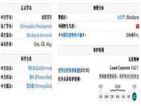 哈尔滨市道外区簇佳网络工作室