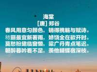 哈尔滨市道外区簇佳网络工作室