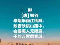 哈尔滨市道外区簇佳网络工作室