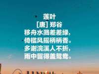 哈尔滨市道外区簇佳网络工作室