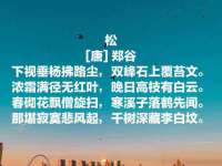 哈尔滨市道外区簇佳网络工作室