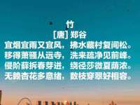 哈尔滨市道外区簇佳网络工作室