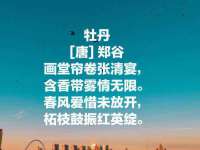 哈尔滨市道外区簇佳网络工作室
