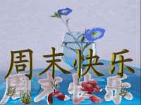 哈尔滨市道外区簇佳网络工作室